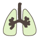 イラスト：肺
